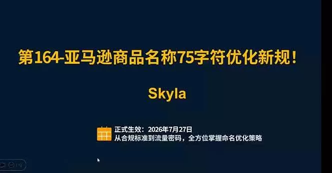 （19352期）亚马逊跨境实战课：全品类选品逻辑｜SP/SB/SD广告精细化｜新品打爆旺季爆单全套运营教程