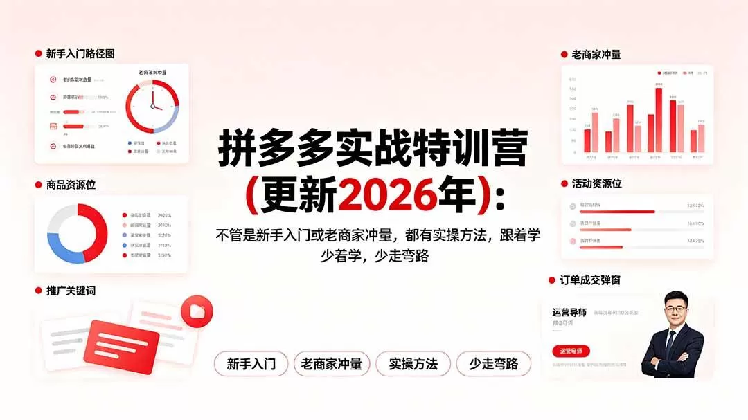 （19724期）拼多多实战特训营(更新2026年)：不管是新手入门或老商家冲量，都有实操方法，跟着学，少走弯路
