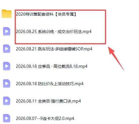 （20092期）拼多多实战特训营(更新26年0827)：不管是新手入门或老商家冲量，都有实操方法，跟着学，少走弯路