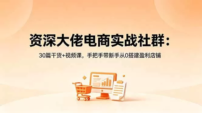 （18529期）资深大佬电商实战社群：30篇干货+视频课，手把手带新手从0搭建盈利店铺